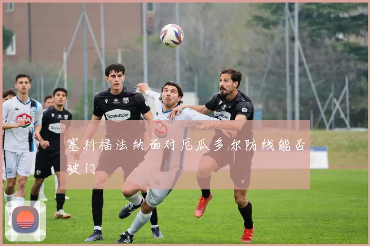 塞科福法纳面对厄瓜多尔防线能否破门
