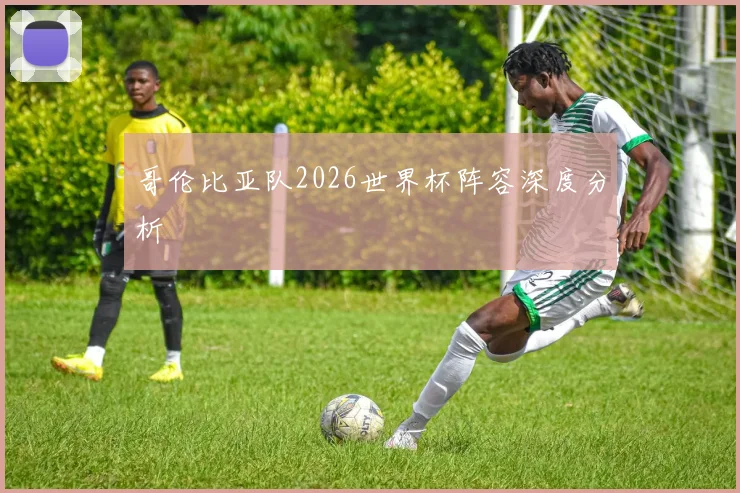 哥伦比亚队2026世界杯阵容深度分析