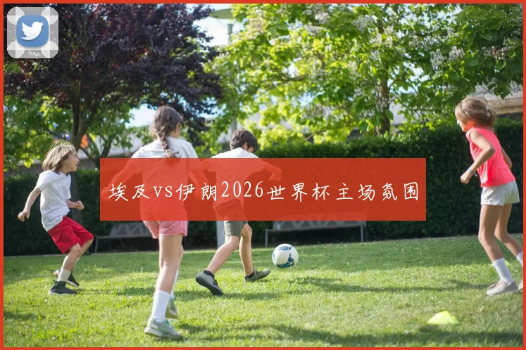 埃及vs伊朗2026世界杯主场氛围