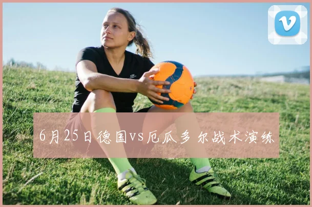 6月25日德国vs厄瓜多尔战术演练