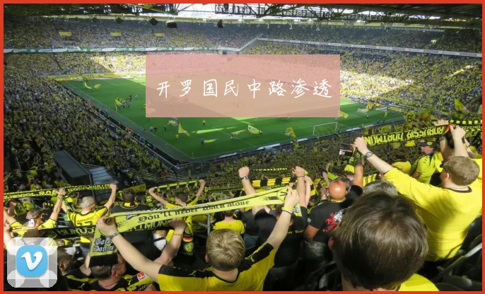 开罗国民中路渗透