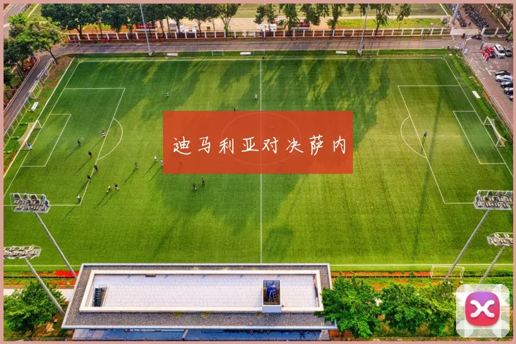 迪马利亚对决萨内