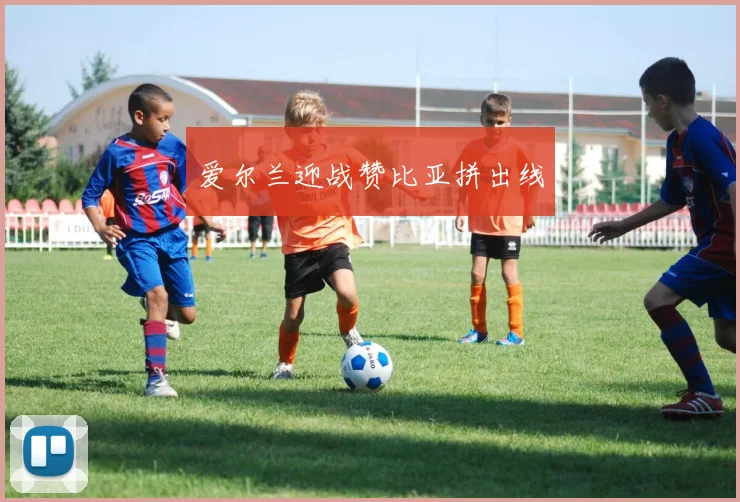 爱尔兰迎战赞比亚拼出线