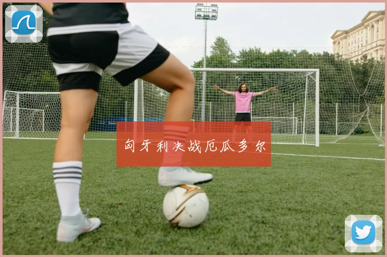 匈牙利决战厄瓜多尔