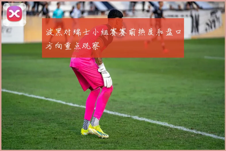 波黑对瑞士小组赛赛前热度和盘口方向重点观察