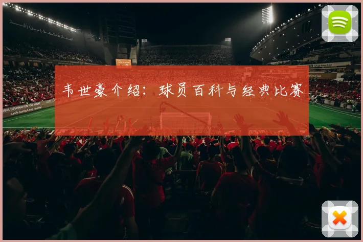 韦世豪介绍：球员百科与经典比赛