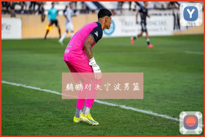 鹈鹕对决宁波男篮
