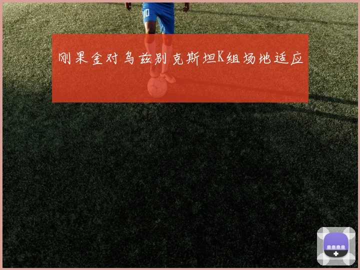 刚果金对乌兹别克斯坦K组场地适应