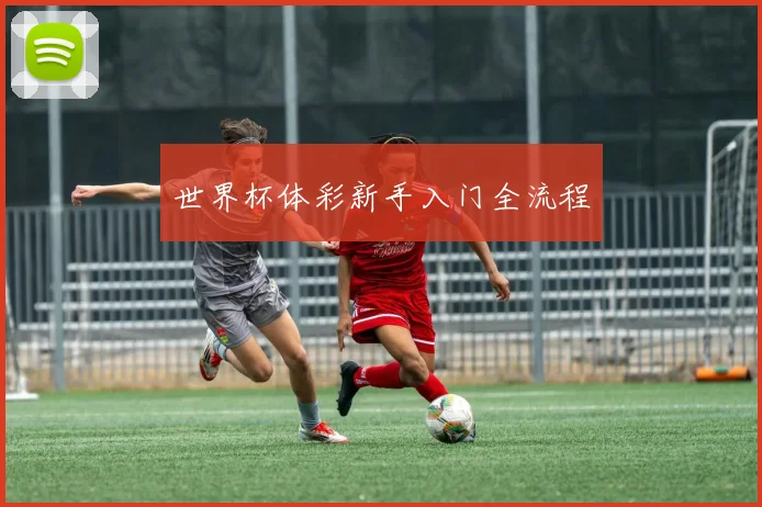 世界杯体彩新手入门全流程