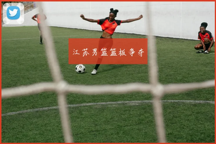 江苏男篮篮板争夺