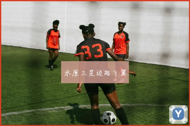 水原三星边路飞翼