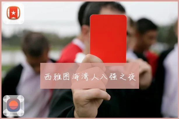 西雅图海湾人八强之夜