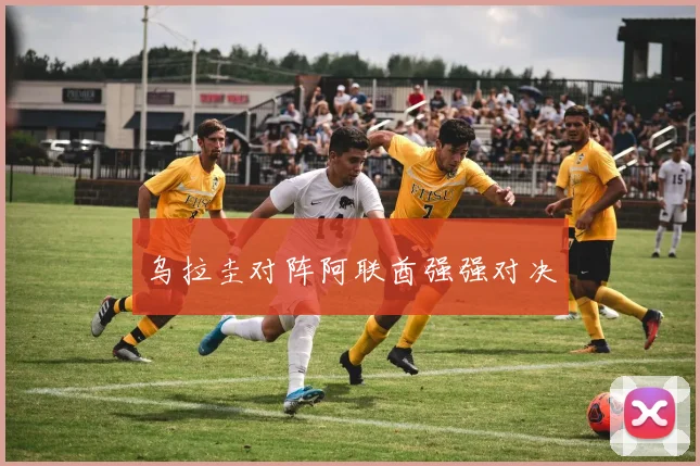 乌拉圭对阵阿联酋强强对决