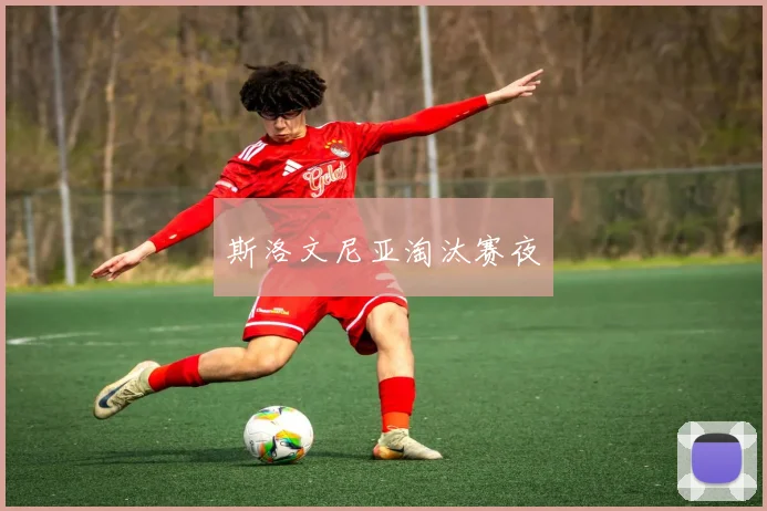 斯洛文尼亚淘汰赛夜