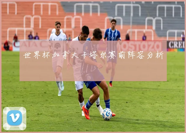 世界杯加拿大卡塔尔赛前阵容分析