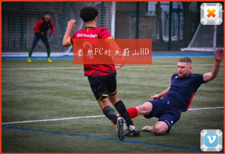 首尔FC对决蔚山HD