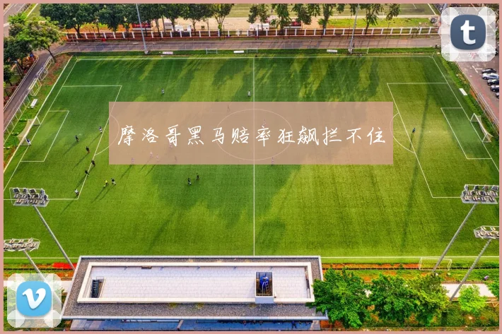 摩洛哥黑马赔率狂飙拦不住