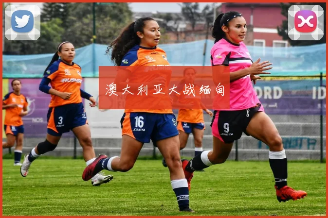澳大利亚大战缅甸