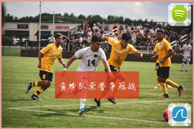 黄蜂队荣誉争冠战