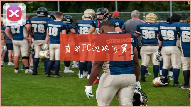 首尔FC边路飞翼