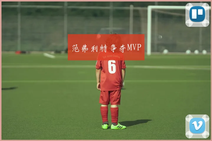 范弗利特争夺MVP