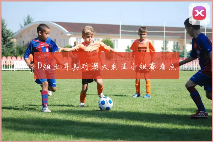 D组土耳其对澳大利亚小组赛看点