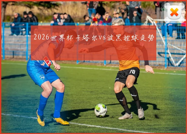 2026世界杯卡塔尔vs波黑控球走势