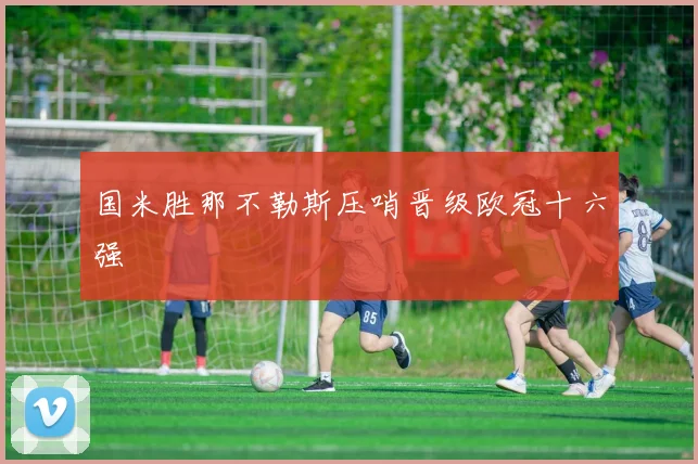 国米胜那不勒斯压哨晋级欧冠十六强
