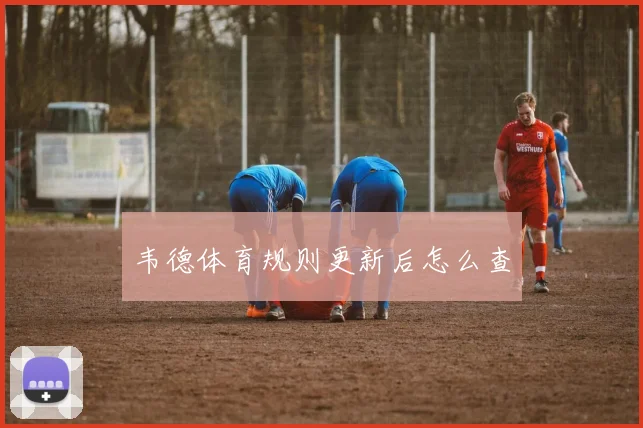 韦德体育规则更新后怎么查